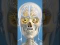 What Happens If Your Brain Suddenly Stops Getting Oxygen 🧠😨 #skeleton #facts #shorts