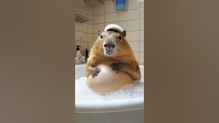 卡皮巴拉洗澡爱揉肚子Capybara loves to rub her stomach while taking a shower#capybara #funny #animals #カピバラさん
