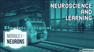 Module I  - Neurons and Neural Network