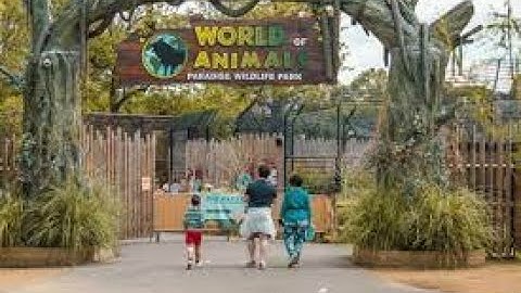 IGCSE Computer Science 0478-22, June 2022 (WildLife Park prerelease)