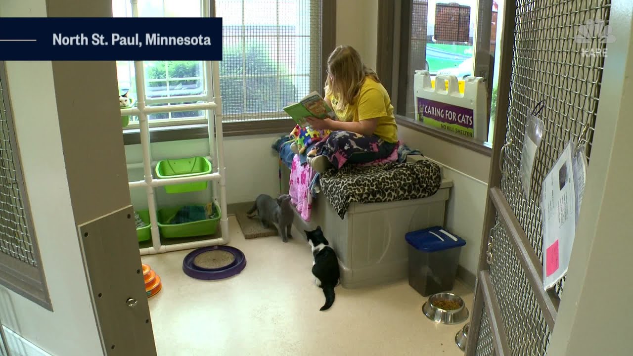 A popular program at a Minnesota cat shelter has kids reading to cats ...