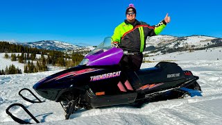 $200 Thundercat Restoration Unveil + Test Ride!  Test Riding An Arctic Cat Cub