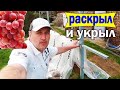 🔴🔴Зачем Виноград Раскрыл и Укрыл Опять?