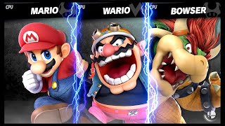 Mario Vs Bowser Lv 9 Cpu Battle Super Smash Bros Ultimate By Fighting ...