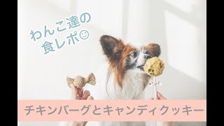 わんこの誕生日にキャンディチーズクッキーとチキンハンバーグ 犬ごはん先生 いちかわあやこ オフィシャルブログ Powered By Ameba わんこの誕生日にキャンディチーズクッキーとチキンハンバーグ 犬ごはん先生 いちかわあやこ オフィシャルブログ Powered By Ameba