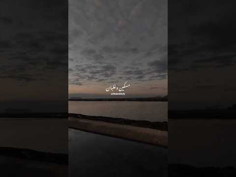 مسكين وغلبان خالد الصيفي تامر عاشور هيجيلي موجوع رومانسي حزين حالات واتس