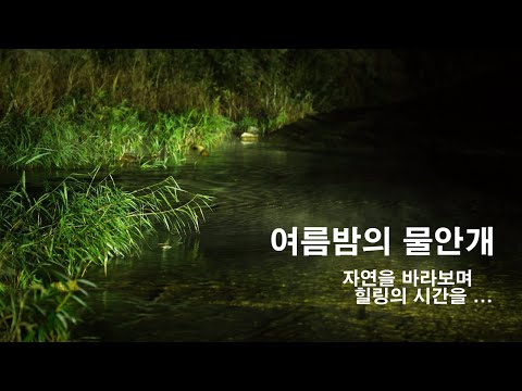 여름밤의 물안개 _피움플랫폼의 자연