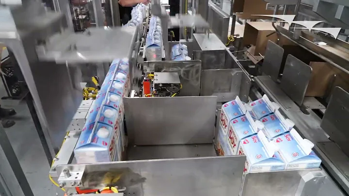 Dairy Case Packer | CP-IMC - AFA Systems