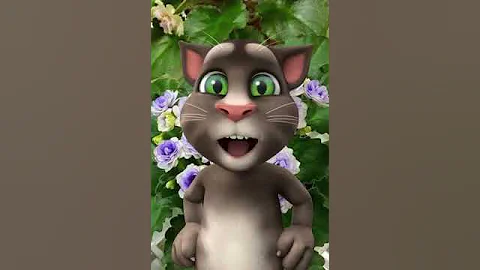 Tom bey