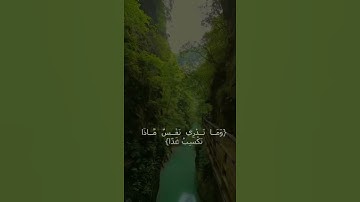 القارئ اسلام صبحي سورة لقمان
