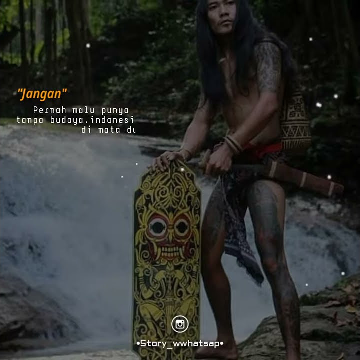 Story Wa || Lagu Sape Dayak ||  Borneo