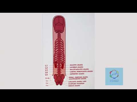 გაიგეთ მეტი სუ ჯოკ თერაპიის შესახებ