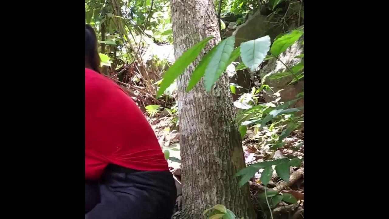 Survival Guide: Finding Food and Water in the Forest     