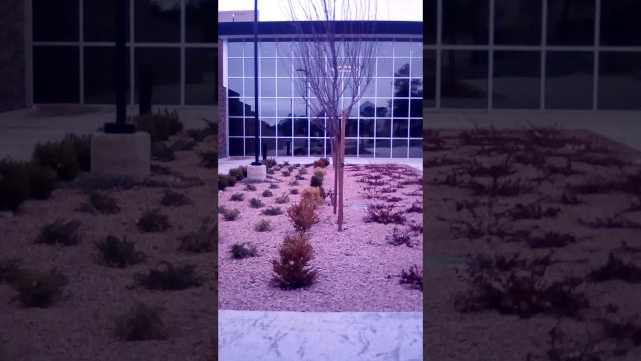 praise & worship @ copper state farms in snowflake