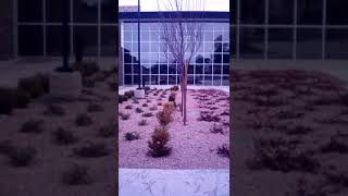 Praise & Worship Copper State Farms In Snowflake