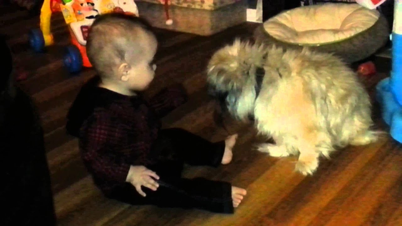 Baby and baybe - YouTube