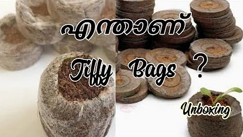 What is inside a jiffy bag? (2023)