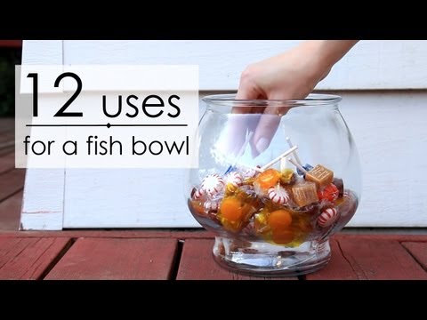 12 Uses for a Fish