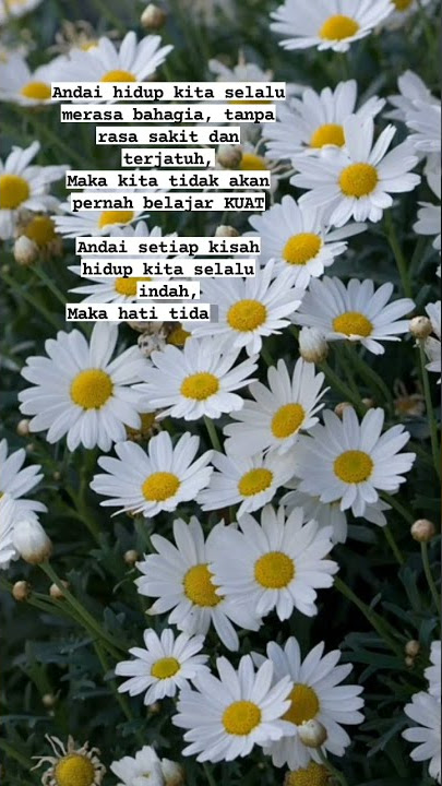 story wa#tumhiho