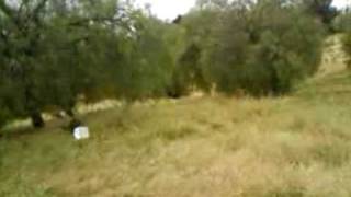 Geohash for 2009-05-02 37N 122W