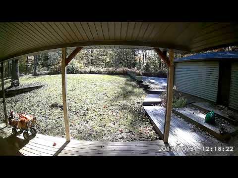 wyzecam-time-lapse-demo