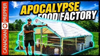The Ultimate SHTF Food Machine: Infinite Protein w/ Alumicoop