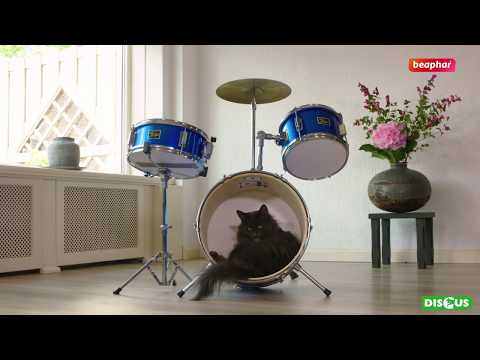 CatComfort voor een ontspannen kat [Beaphar productvideo]