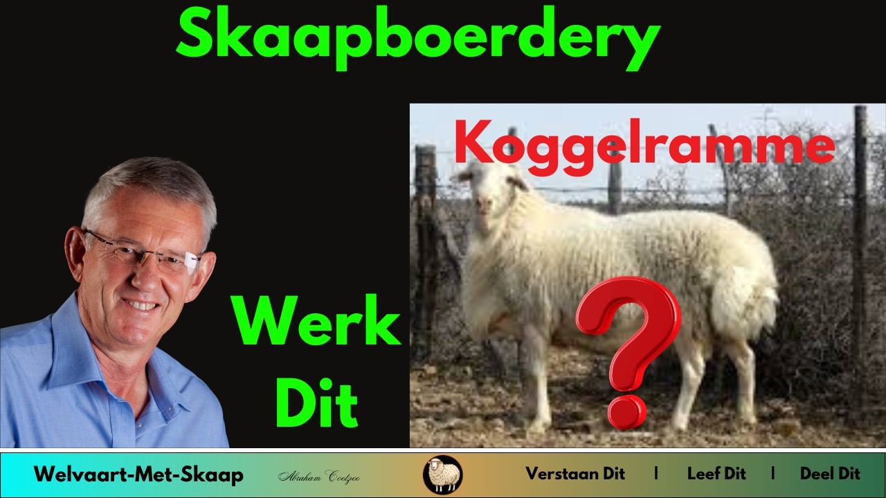 WMS 9 - Hoe belangrik is die effek van koggelramme in skaapboerdery en wat is die voordele?
