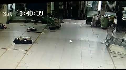 Tuyul jelas tertangkap kamera cctv..berkeliaran mencuri uang..lokasi ekspedisi di Ciledug tangerang