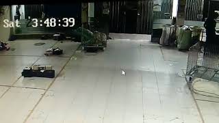 Tuyul jelas tertangkap kamera cctv..berkeliaran mencuri uang..lokasi ekspedisi di Ciledug tangerang