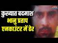 UP STF Action: कुख्यात बदमाश भानु प्रताप एनकाउंटर में ढेर, ऐमी घाट पुल के पास चली गोलियां | Top News