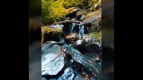 سوره القلم للشيخ محمد هليل (ترتيل)