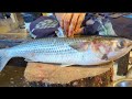 Amazing Cotton Skills Live in Fish Market | Khoral Bata Fish Cutting Cleaning Skills.....