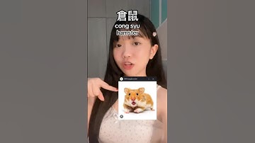 learn cantonese with me #cantonese
