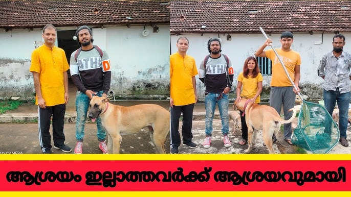 PAWS Thrissur Puppy adoption campaign | 29 Dec 2019 | Planx studios -  YouTube