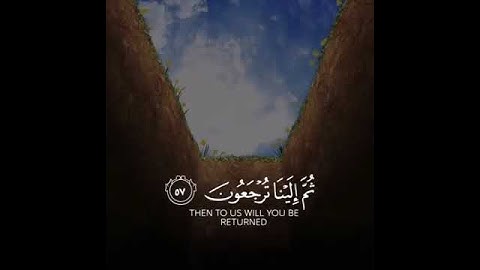 حالات واتس قران كريم ( كل نفس ذائقة الموت ) القارئ شريف مصطفى