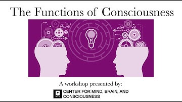 Axel Cleeremans: Why Consciousness Matters | NYU Functions of Consciousness 2025