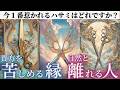 【㊗️悪縁切れます✂️】 今後自然と離れる人の特徴👦オラクルカードリーディング👼スピリチュアル🦄🌟