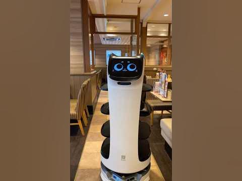 Bellabot serving at restaurant in Japan - YouTube