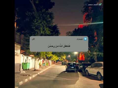 حالات واتس الشيخ محمد متولي الشعراوي
