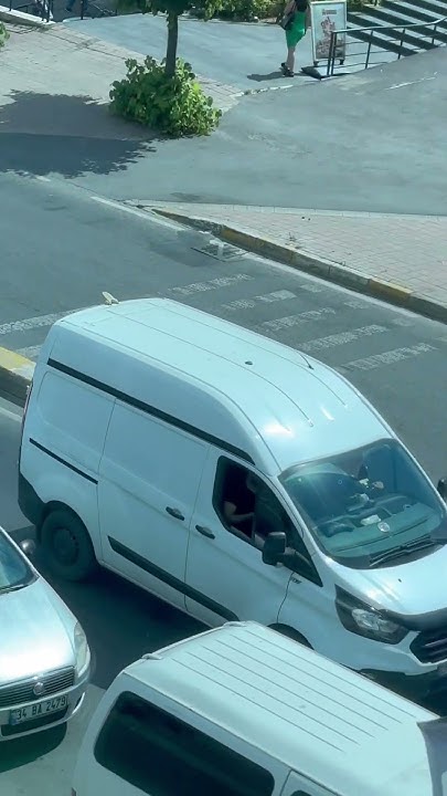 Тесла Хамелеон - YouTube