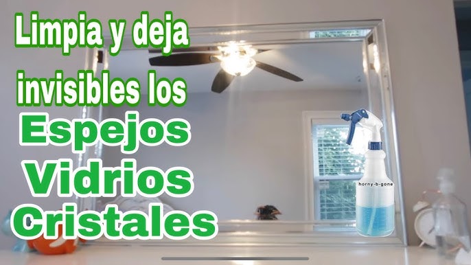 Limpia Vidrios Ventanas Mamparas para Baño Cocina Auto 3 en 1 | Oechsle