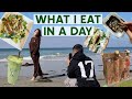 WHAT I EAT IN A DAY + TRADER JOES HAUL (simple & yummy recipes)