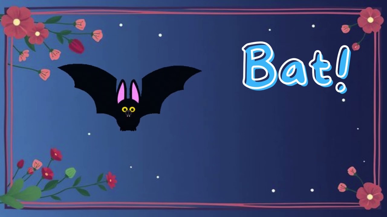 🐦 Learn Bird Names! | Fun Bird Watching for Kids 🦅