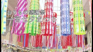 【一宮七夕まつり】一宮七夕まつりの紹介（おりもの感謝祭一宮七夕まつり協進会）