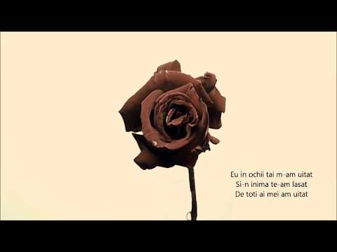 Damian Draghici feat. Feli - Trandafire (toribute karaoke mix)