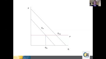 GAI Online Lecture Series - The Economics of Consumer Protection