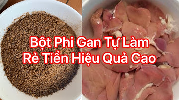 Cách Làm Bột Phi Gan Đơn Giản Rẻ Tiền ...