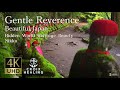 【Gentle Reverence】Journey to Power Spots.