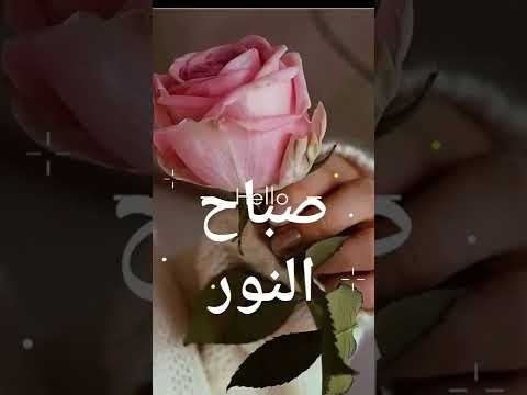صباح الورد والياسمين لأحلى متابعين صباح النور